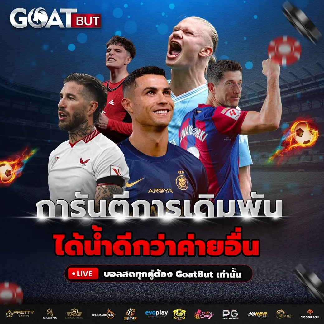 โปร2-2 copy_result